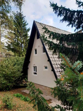 Pine tree cottage